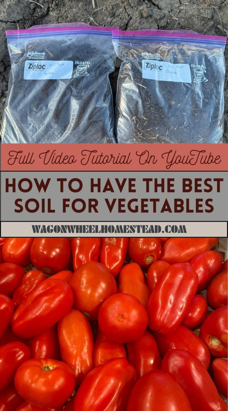 How To Have The Best Garden Soil For Vegetables - Wagon Wheel Homestead