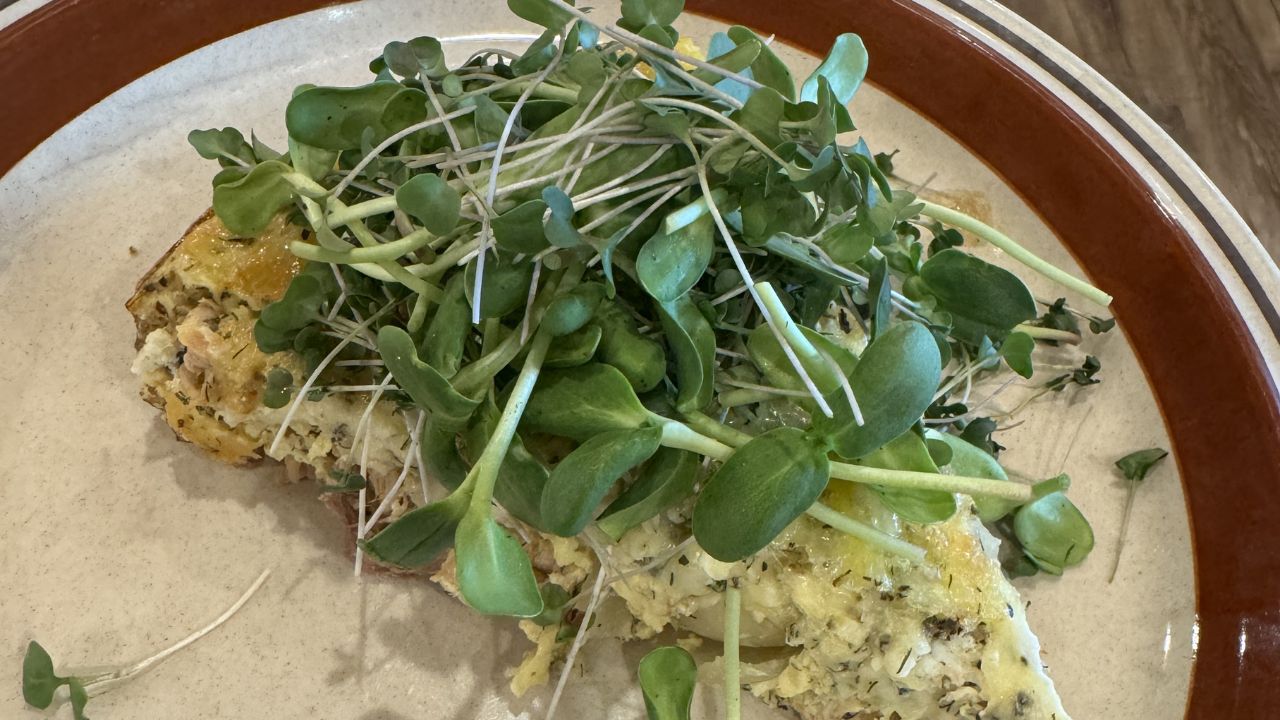 How To Grow Sunflower Microgreens - Fast And Easy - Homesteading ...