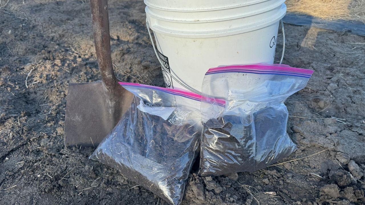 WHICH SOIL IS BEST FOR KITCHEN GARDEN visual data 6