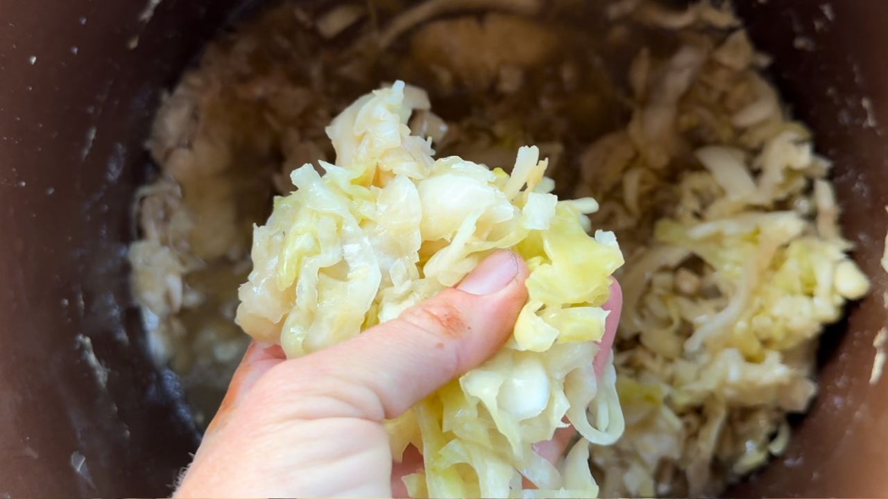 checking on fermented homemade sauerkraut