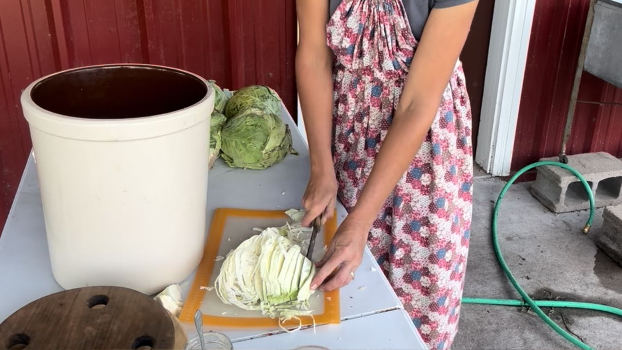 cutting cabbage for homemade sauerkraut