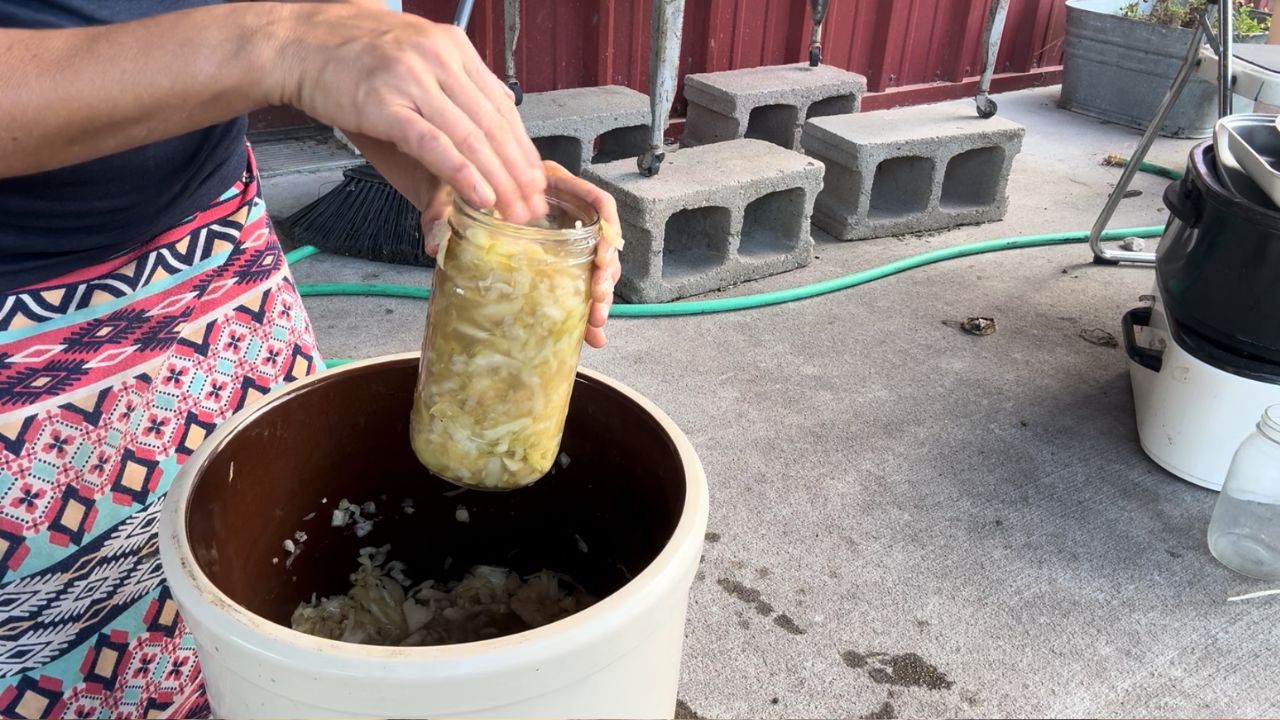 packing raw sauerkraut into jars