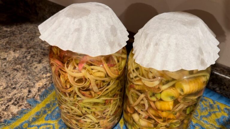How To Make Apple Cider Vinegar From Apple Scraps (Video) - Wagon Wheel ...