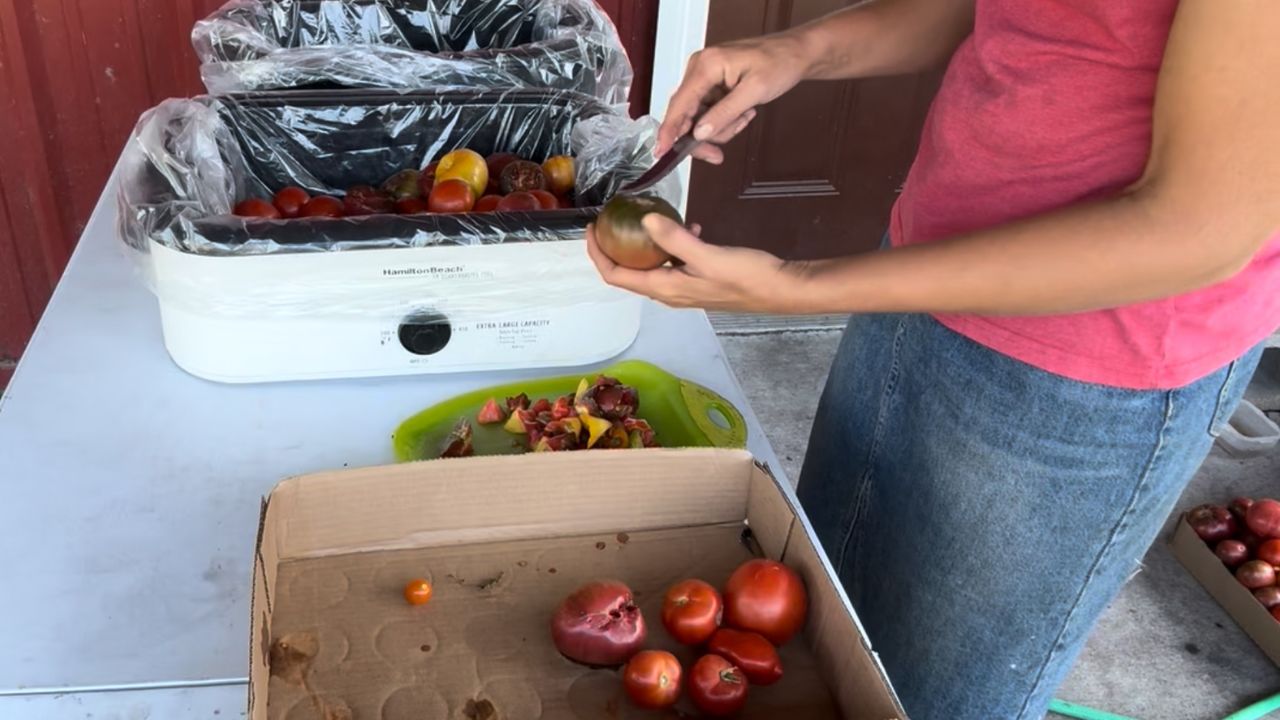 coring tomatoes for homemade spaghetti sauce