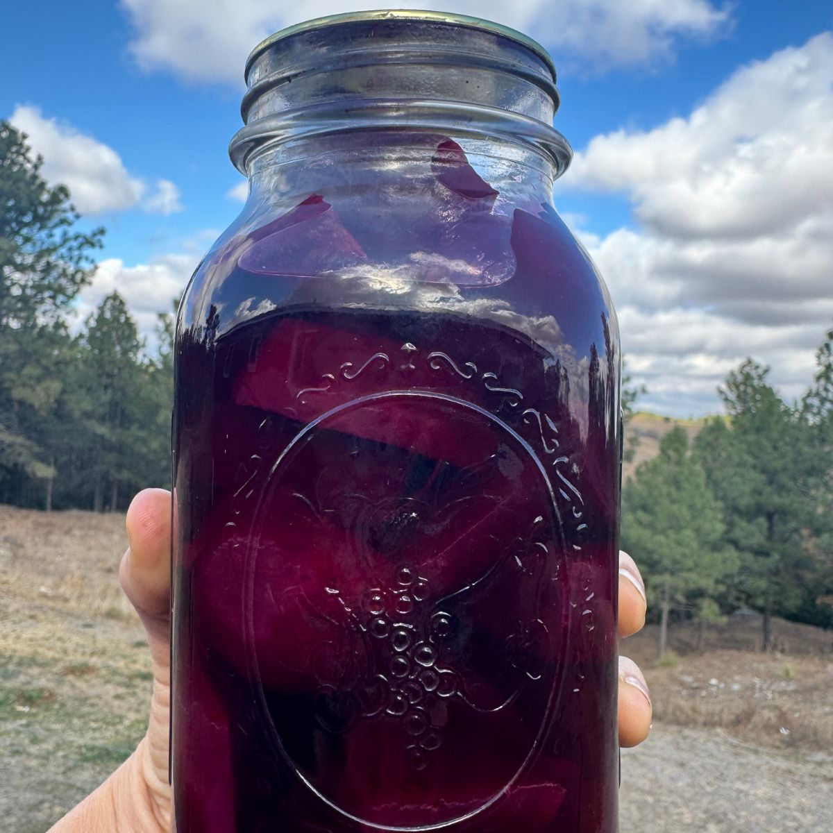 jar of canned pickled beets