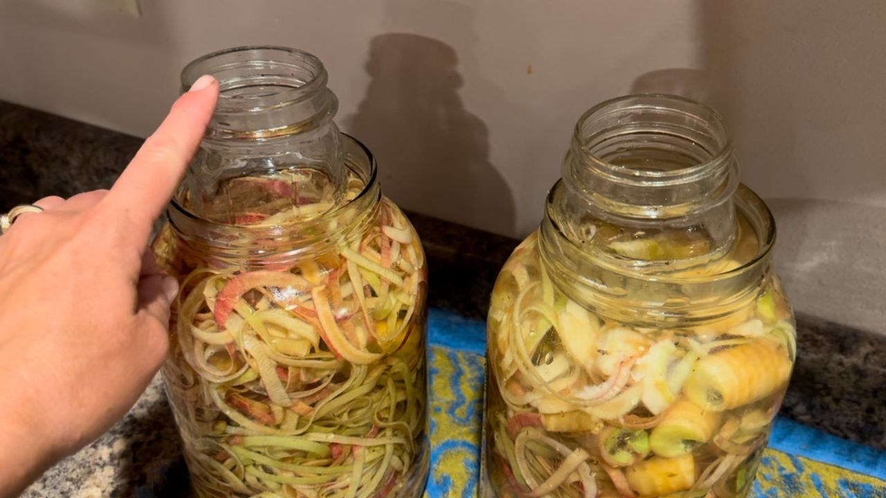 How To Make Apple Cider Vinegar From Apple Scraps (Video) - Wagon Wheel ...