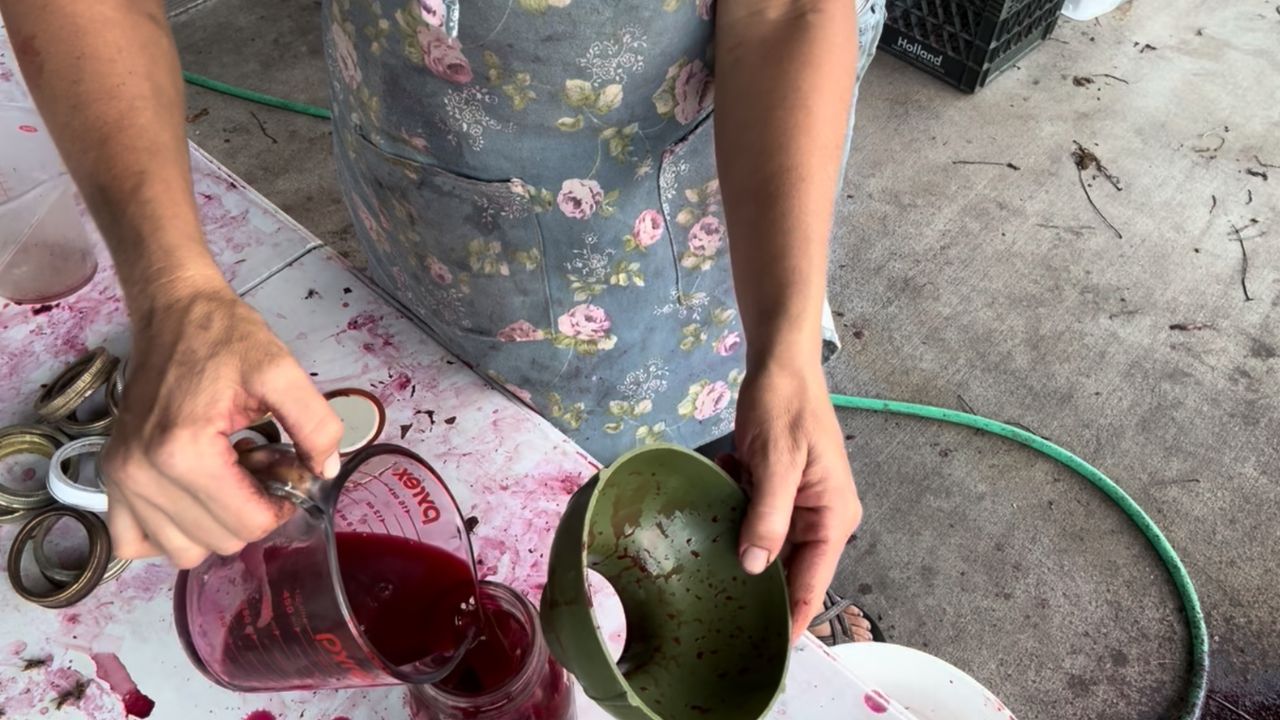 pouring hot beets into jars for canned pickled beets