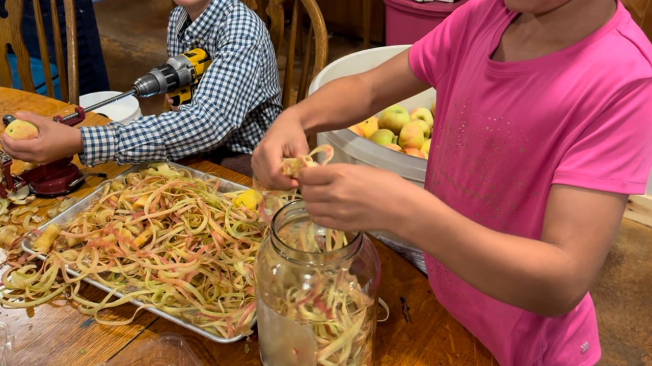 How To Make Apple Cider Vinegar From Apple Scraps (Video) - Wagon Wheel ...