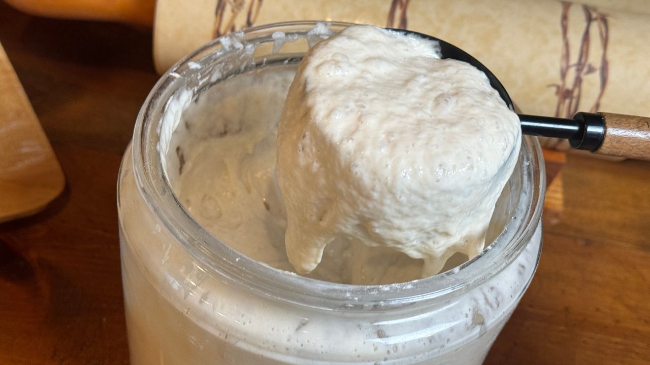 active sourdough starter