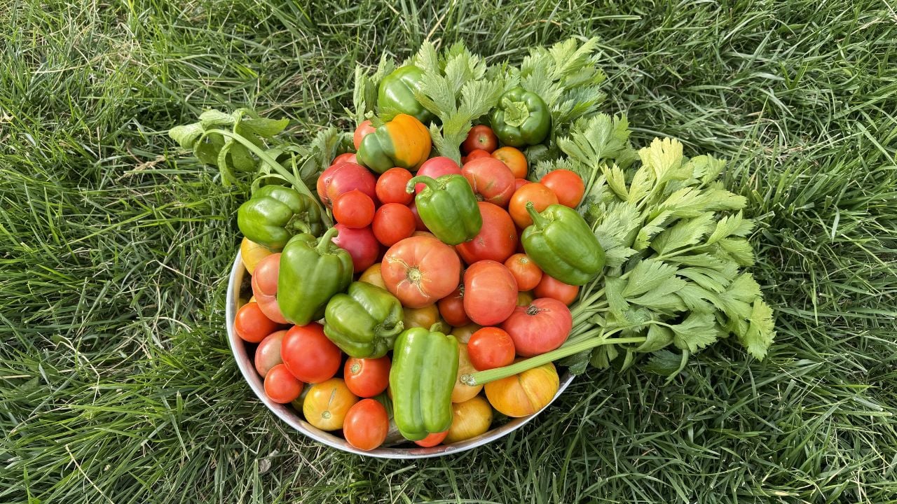 bowl of garden produce