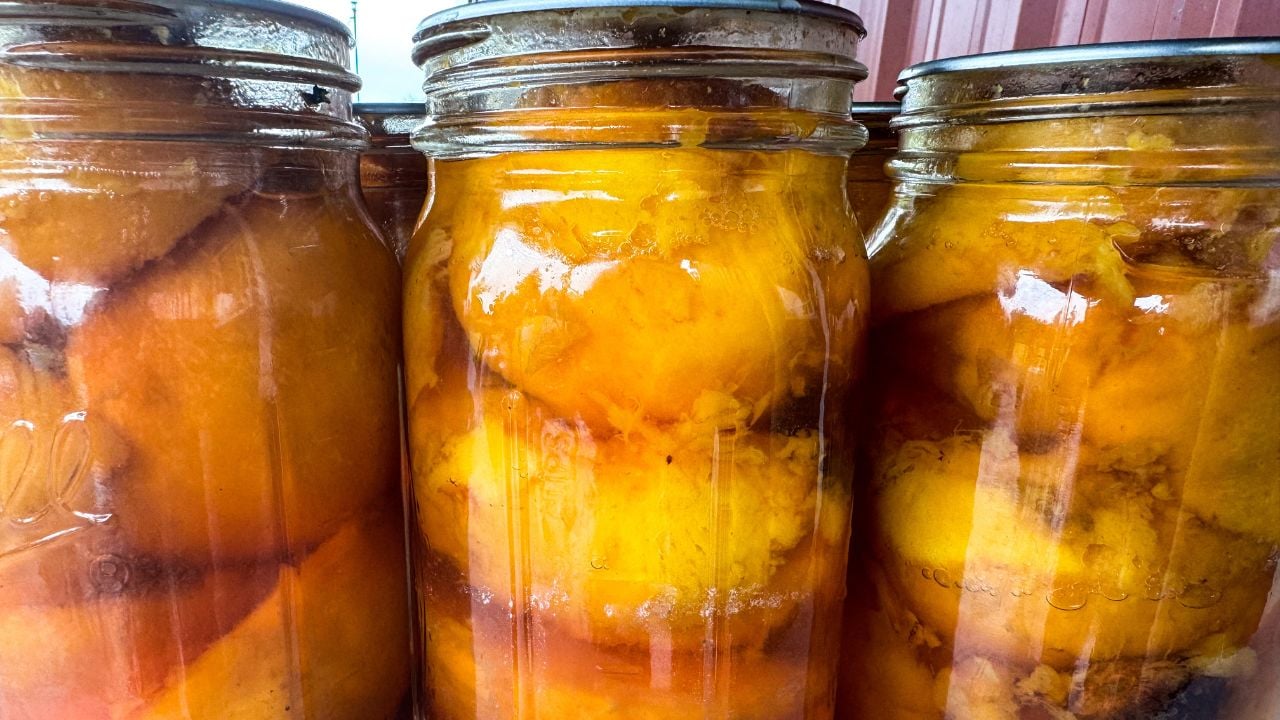 canned peaches