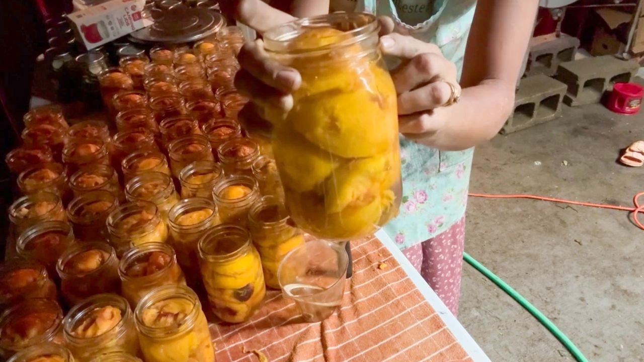 home canned peaches