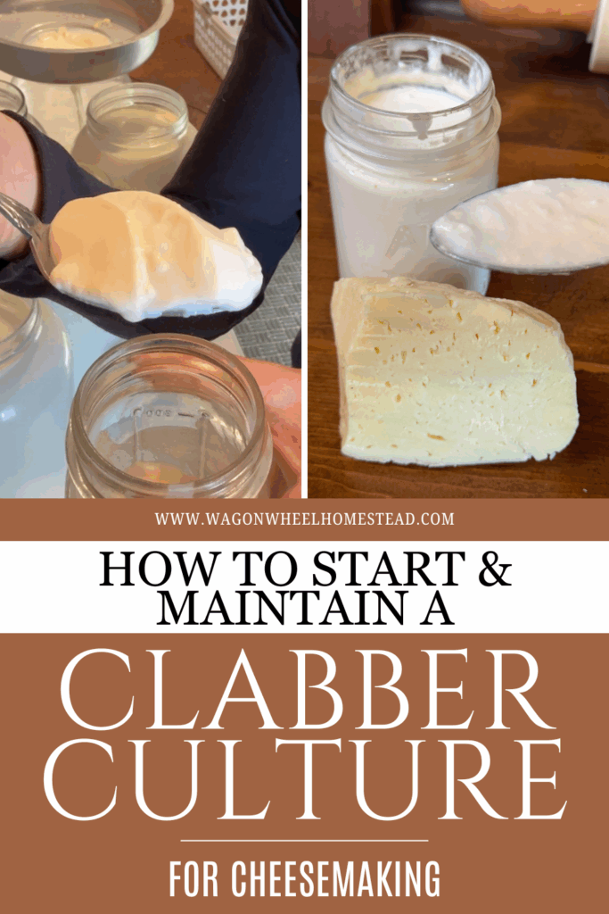 Clabber Culture pin image