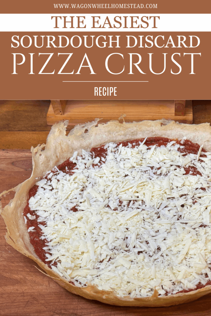 sourdough pizza crust pin image
