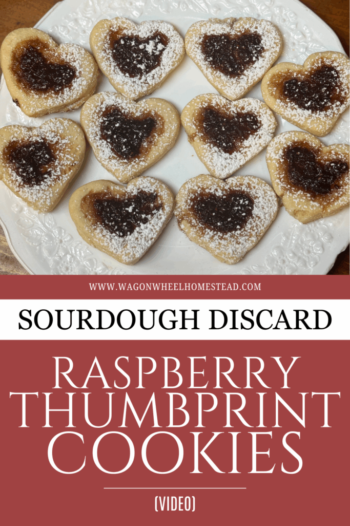 thumbprint cookies pin image