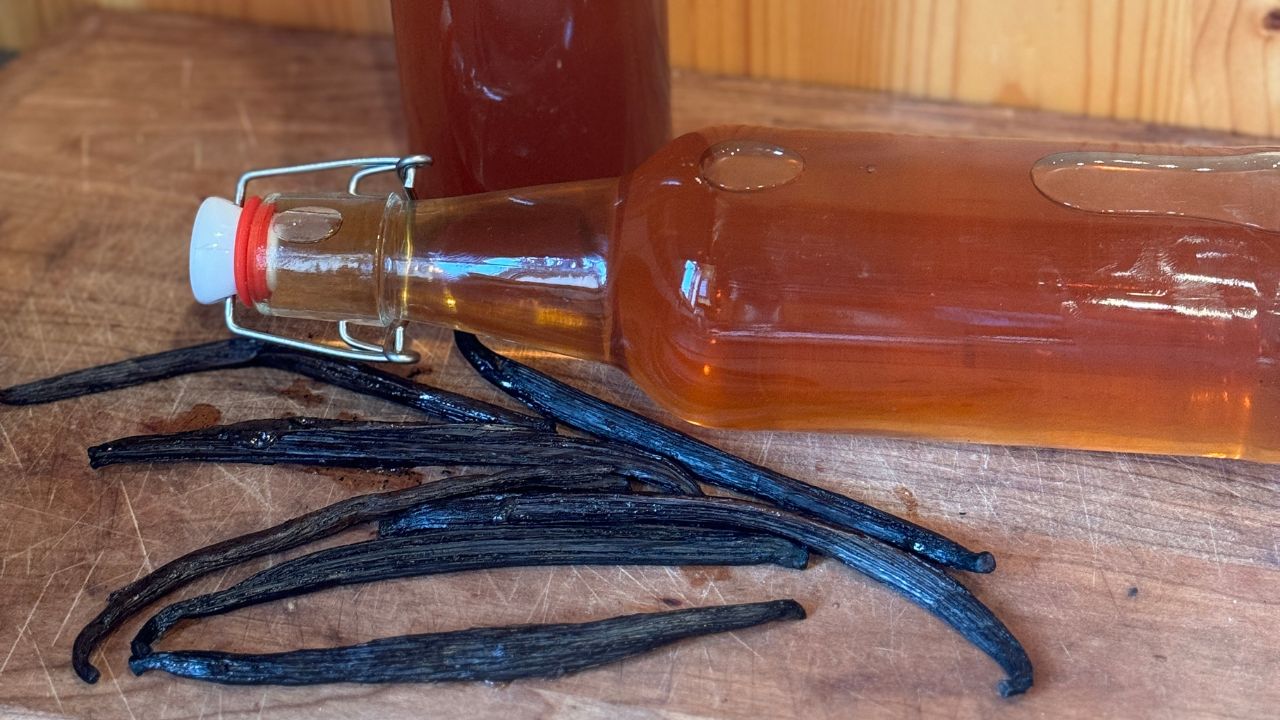 fresh vanilla extract