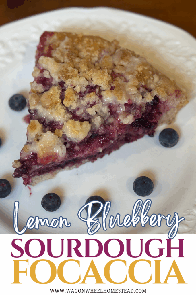 lemon blueberry focaccia pin image