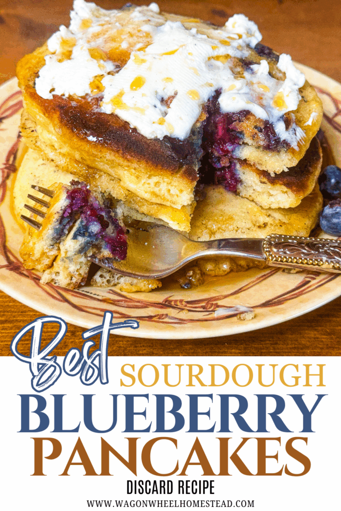 blueberry pancakes pin image