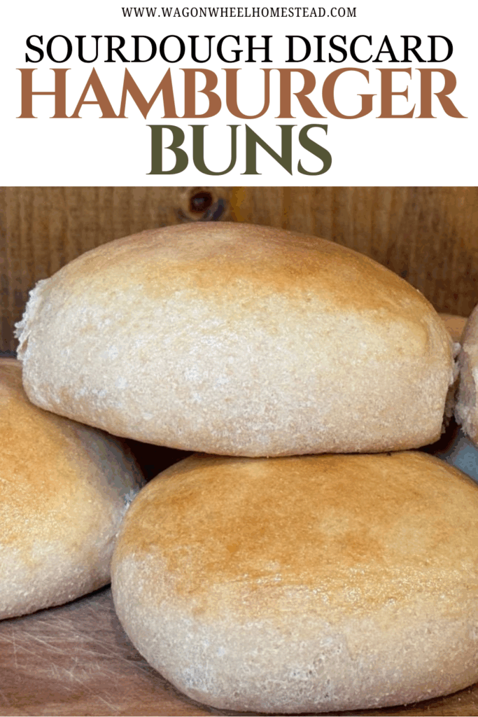 sourdough discard hamburger buns pinterest image