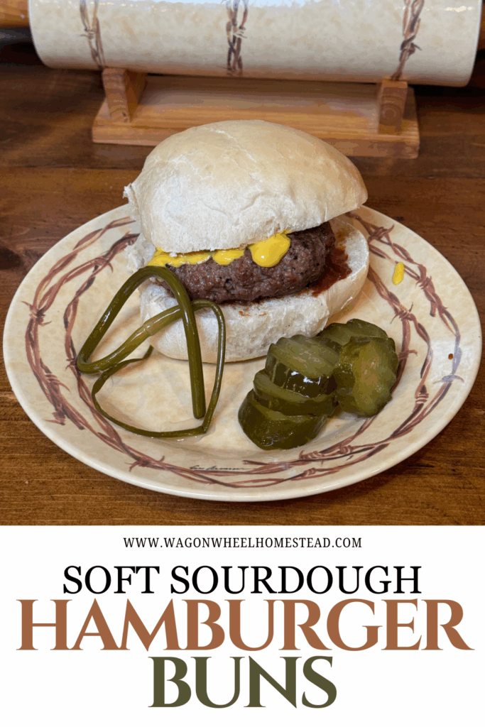 sourdough hamburger buns pin image
