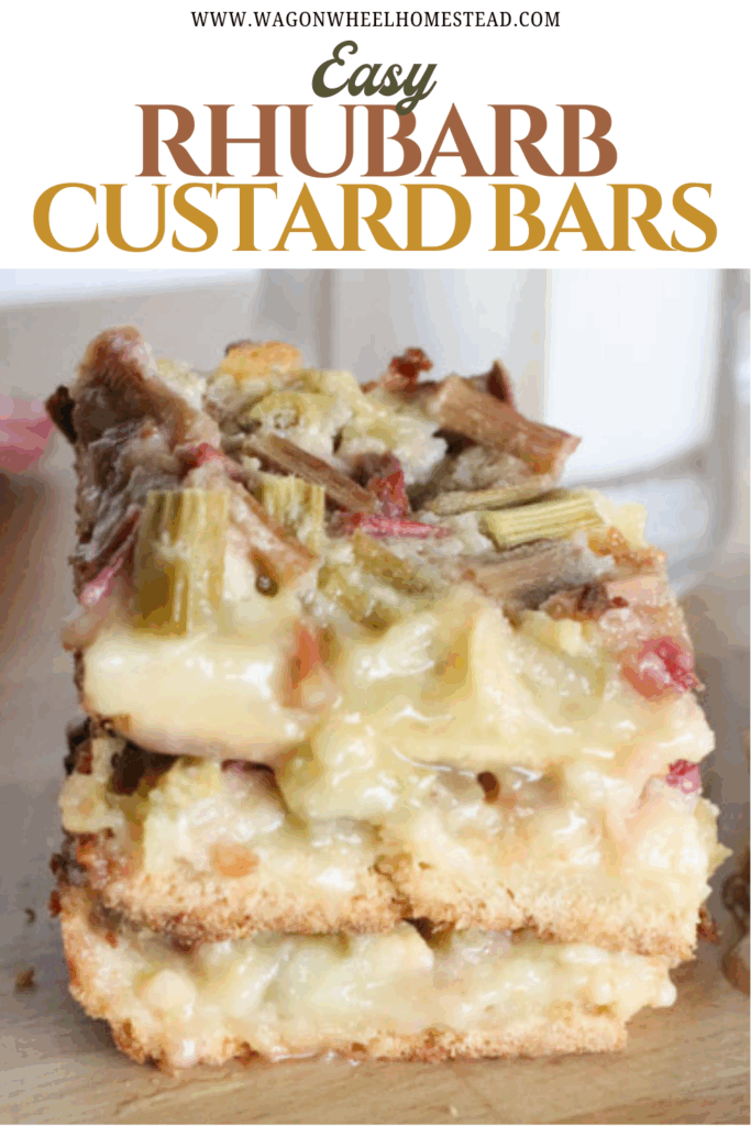 rhubarb custard bars pin image