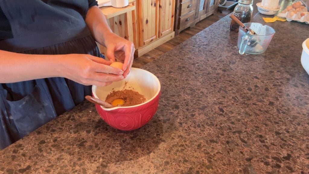mixing up sourdough brownie batter