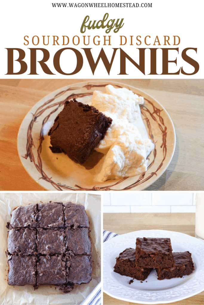 sourdough brownies pin image
