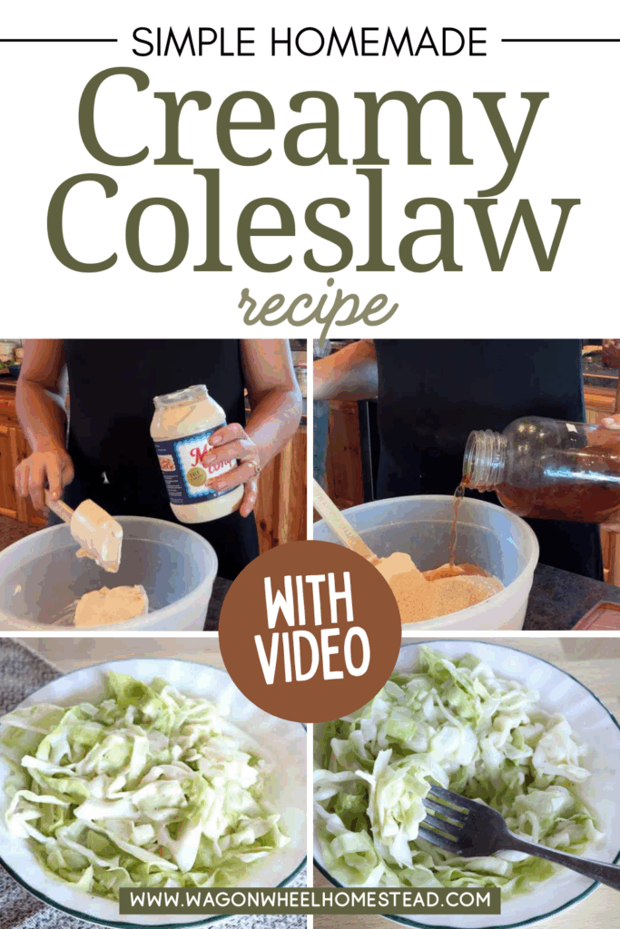 creamy coleslaw pin image