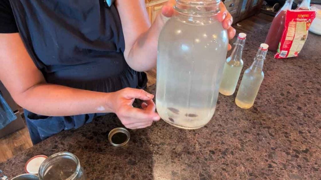 adding raisins to first ferment of water kefir