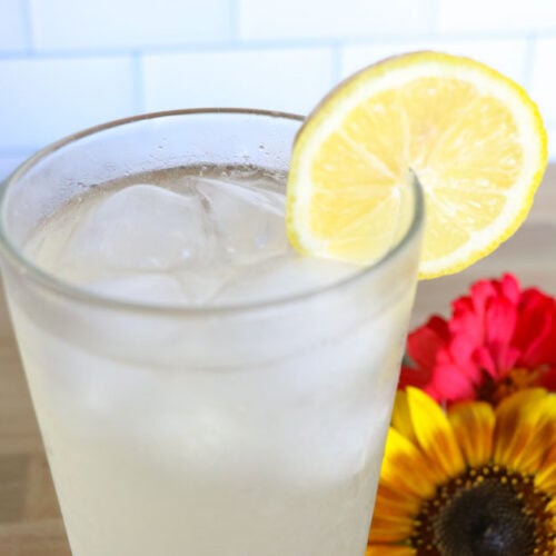 fermented lemonade with a slice of lemon