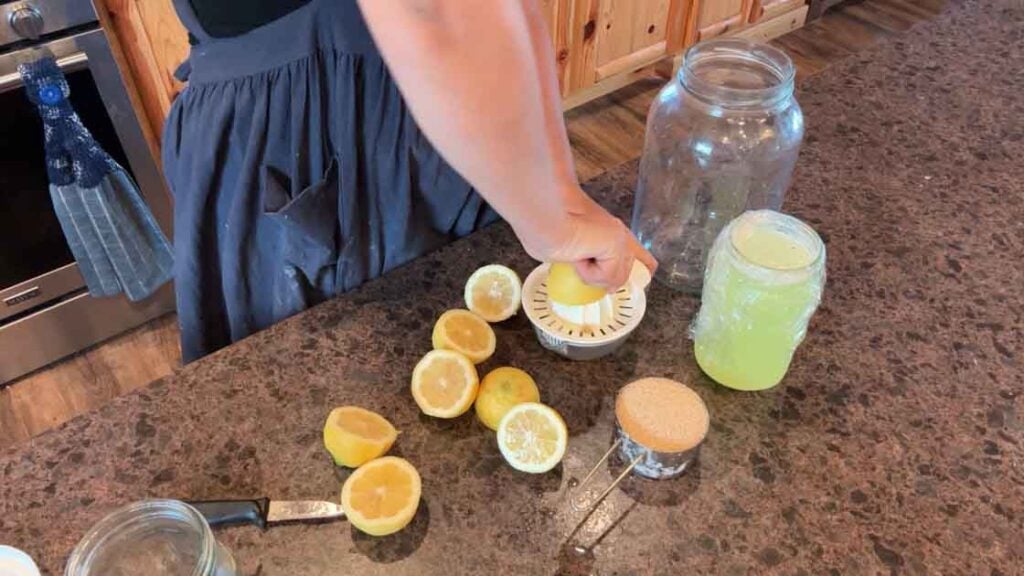 squeezing lemons for fermented lemonade