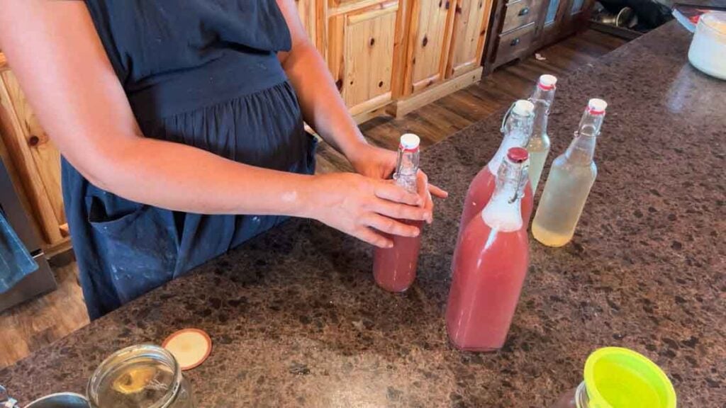 water kefir in flip top bottles