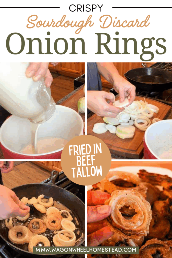 Sourdough onion rings pin image