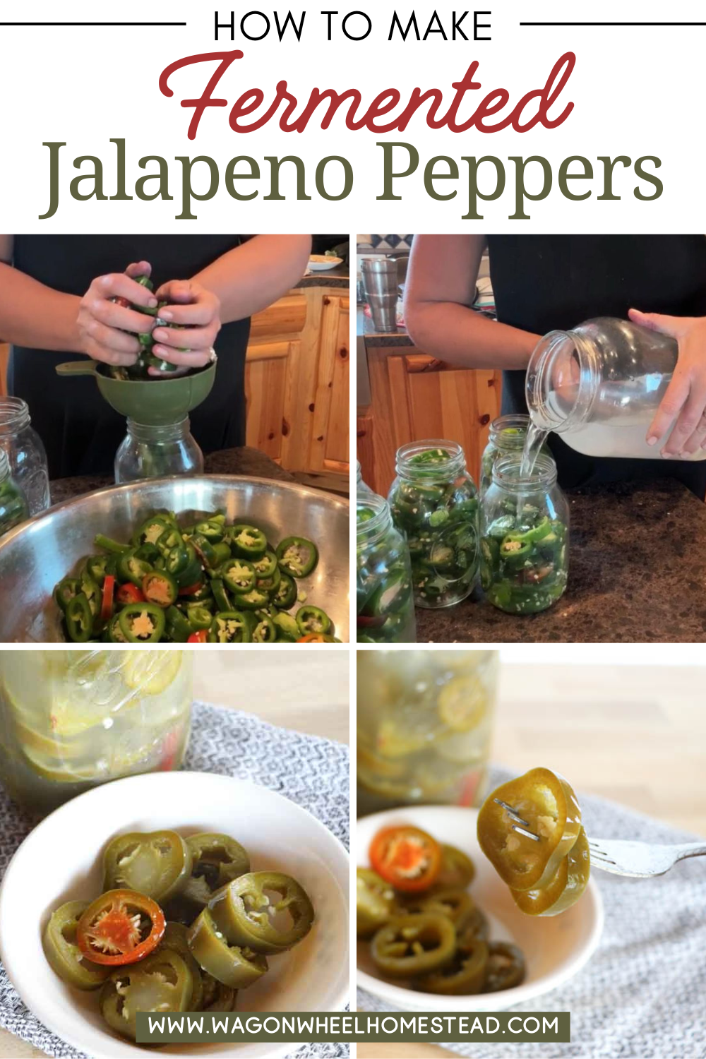 Fermented Jalapenos