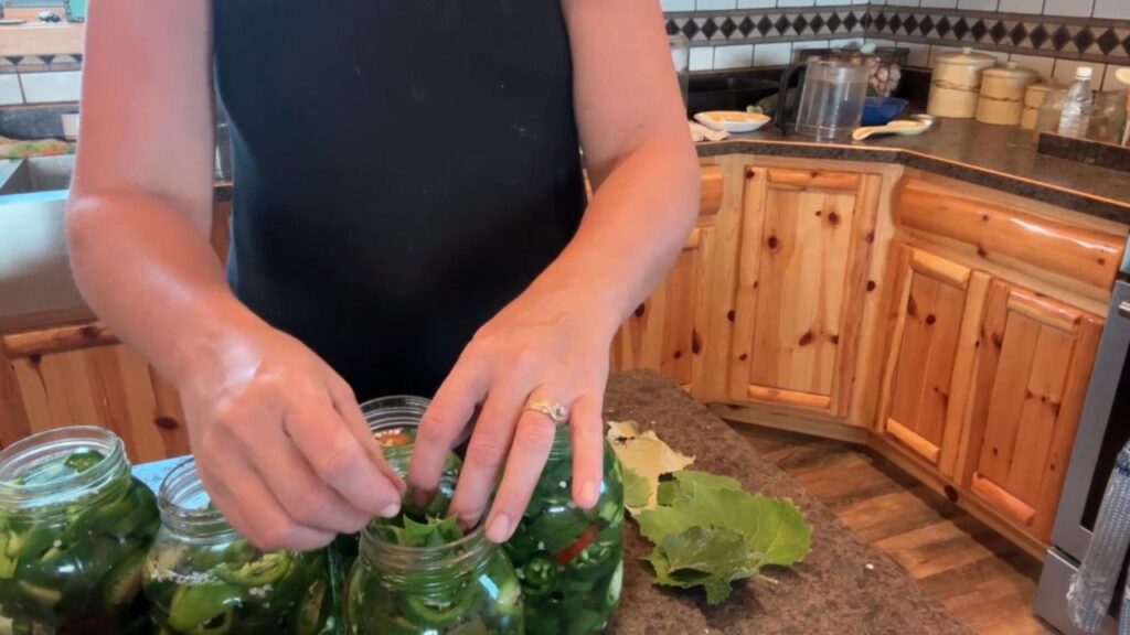 using grape leaves to keep jalapenos below the brine