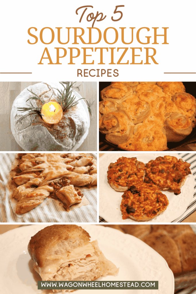 sourdough appetizers pinterest image