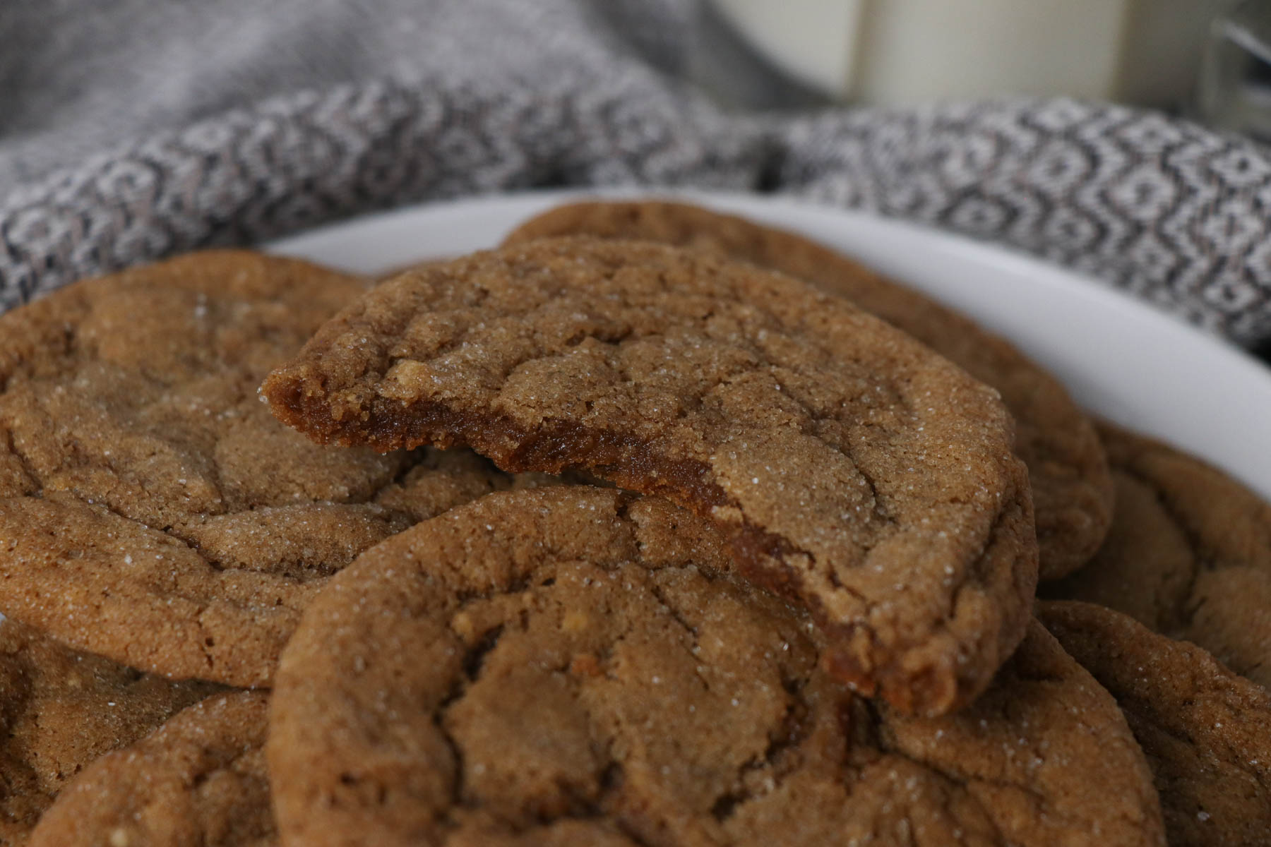 bite of sourdough gingerbread cookies