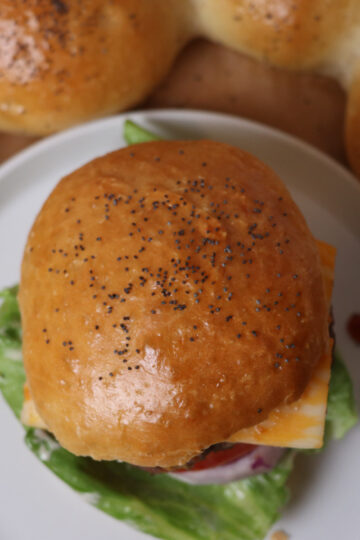 easy sourdough discard hamburger buns square