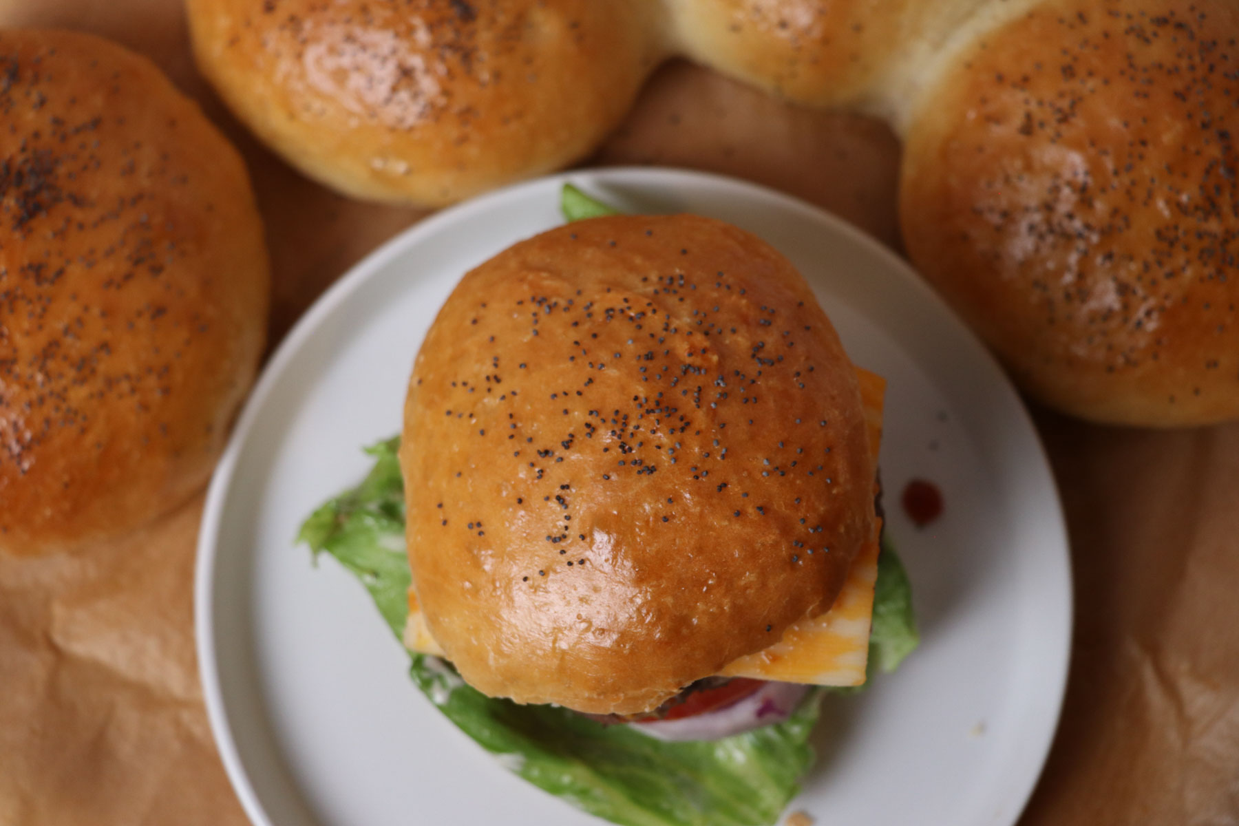 easy sourdough discard hamburger buns