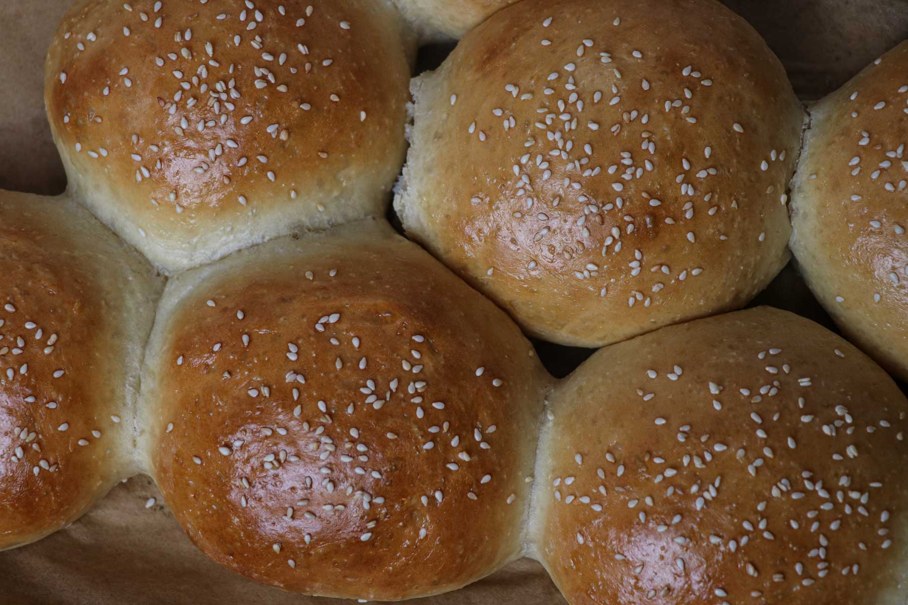 fresh baked sourdough hamburger buns overhead shot