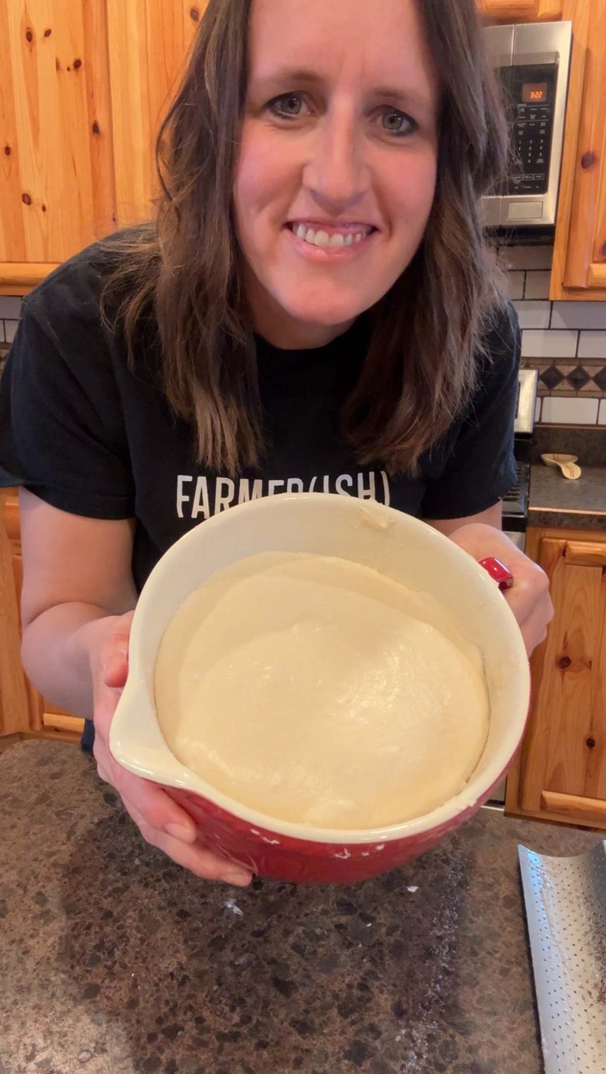 fermented baguette dough