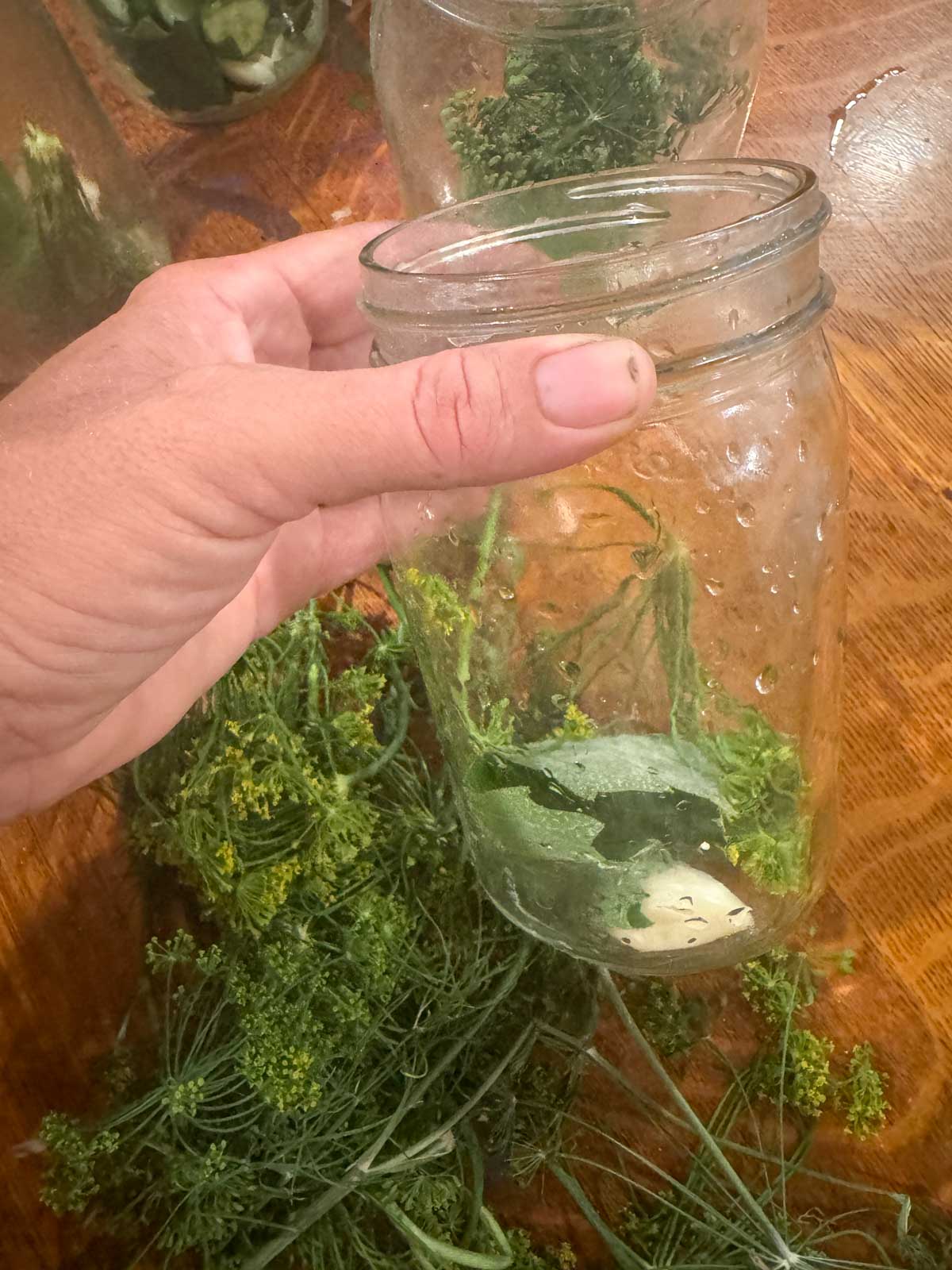 adding garlic and dill to jars