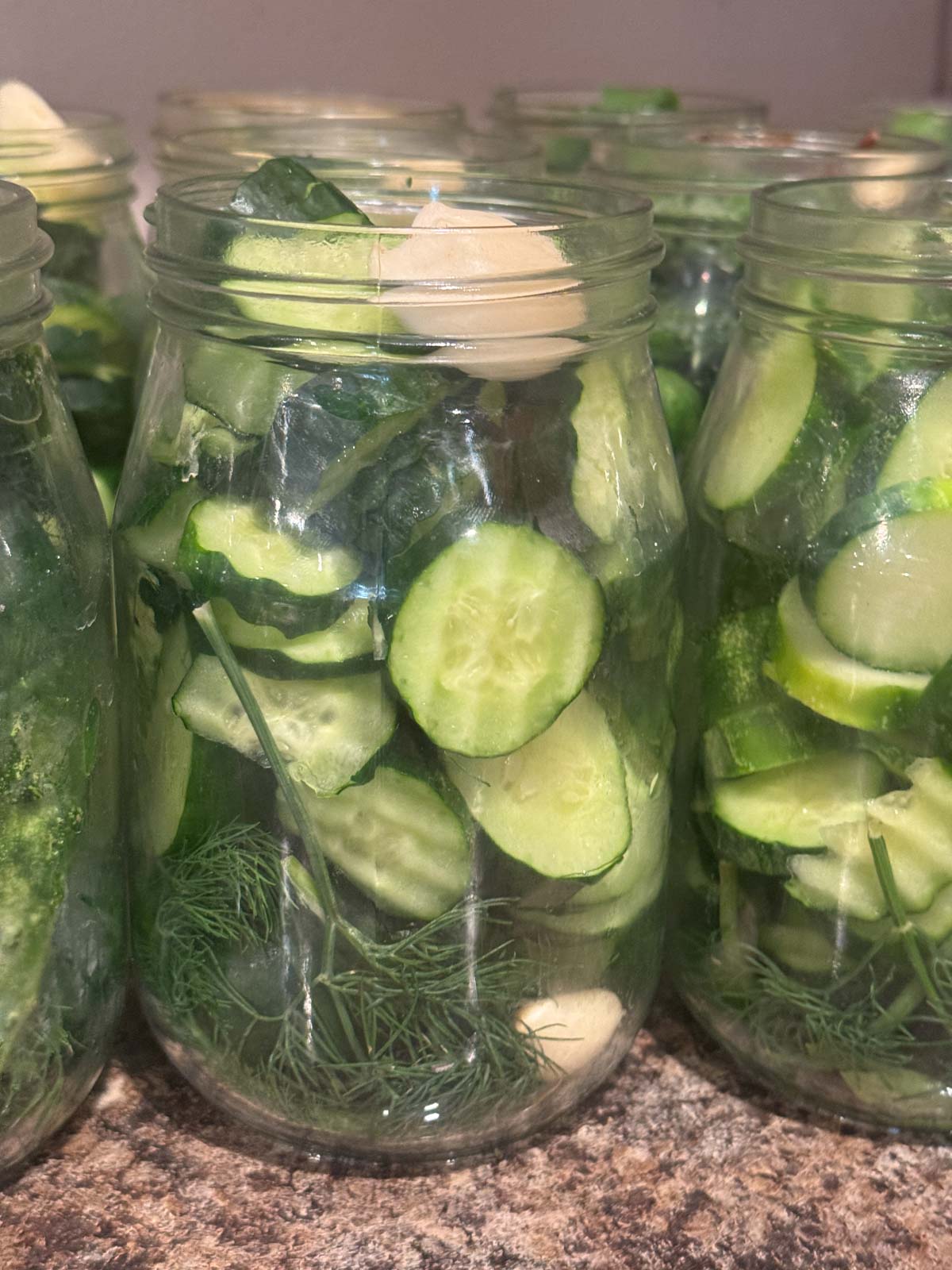 cucumbers in jars ready for brine