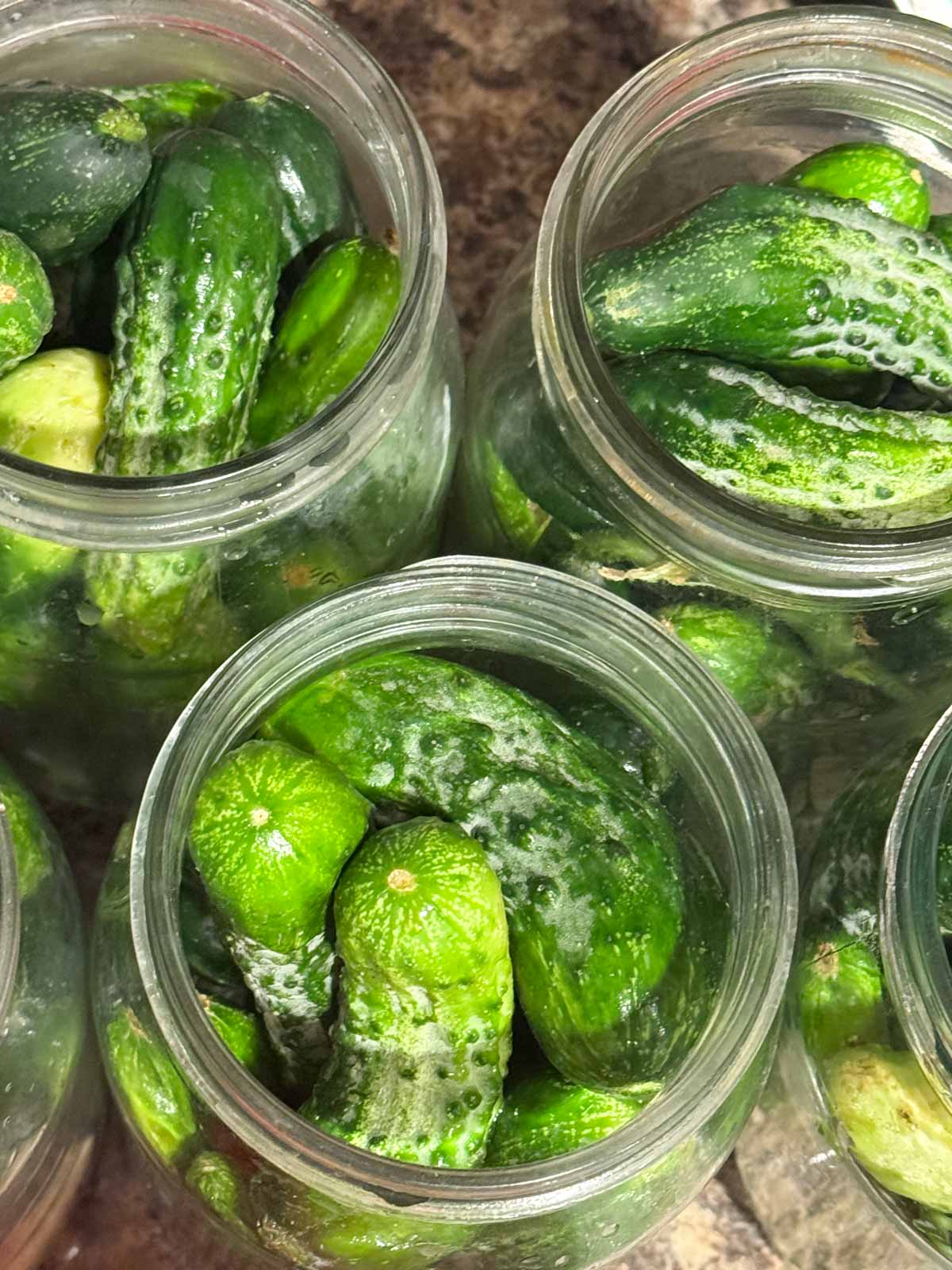 cucumbers in jars